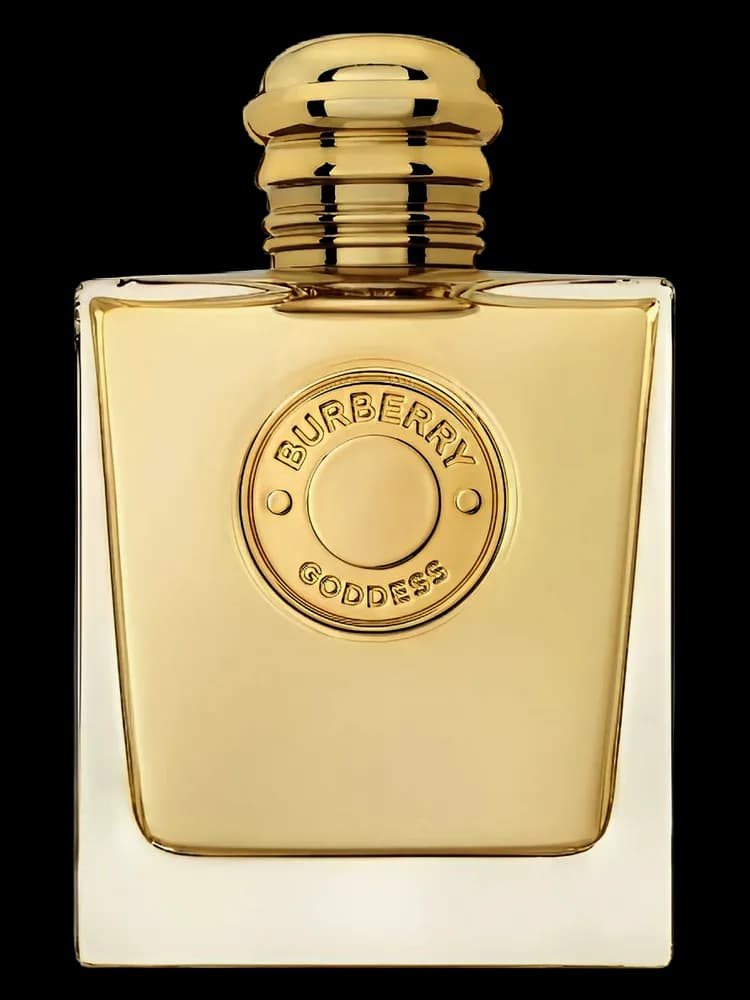 تصویر عطر بربری گادس
