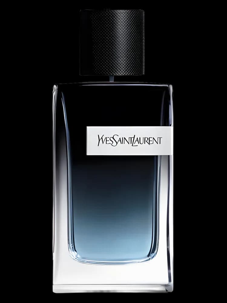 تصویر عطر ایو سن لورن وای ادو پرفیوم